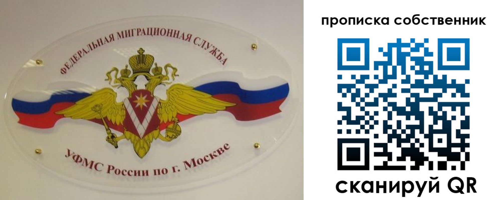 прописка 2025 в Сосенском